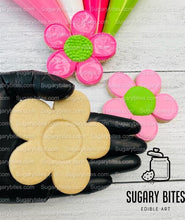 Load image into Gallery viewer, Back to school Cookies, Doll Cookies, Teacher’s appreciation cookies, Doll DIY Cookie Decorating Kit, **INCLUDES 24 ITEMS**, (Large Cookies)
